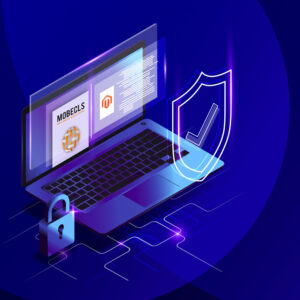 ecommerce cyber security