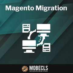 migration_ico Ricambi America: Magento | Adobe Commerce Migration Case Study