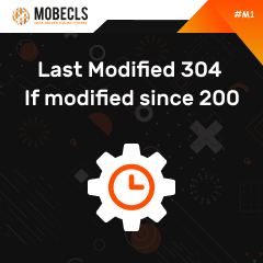 Last-Modified-304-If-modified-since-200 Magento Extensions