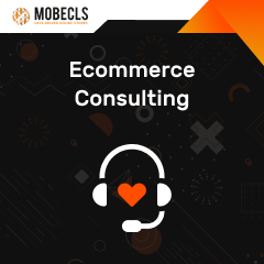 Ecommerce_Consulting eCommerce Customer Decision Making Process Explained