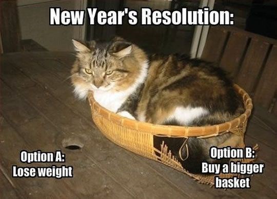cat-new-years-resolution-option-b-buy-bigger-basket-option-lose-weight Important Ecommerce Dates 2024 to Boost Sales